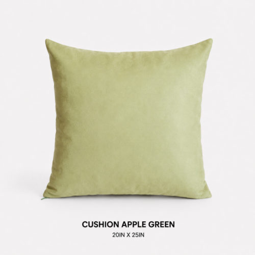 CUSHION APPLE GREEN 20inL X 20inW