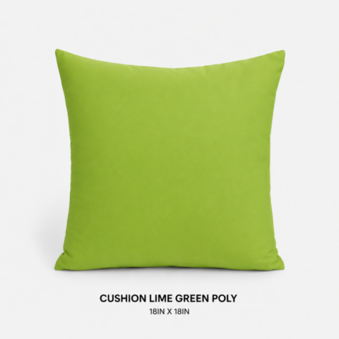 CELEBRATIONS GRAND CAYMAN RENTAL PARTY EVENTS CUSHION SILVER SATIN 20IN X 20INCUSHION LIME GREEN POLY 18IN X 18IN