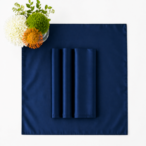 NAPKIN NAVY CAPRI 20IN X 20IN
