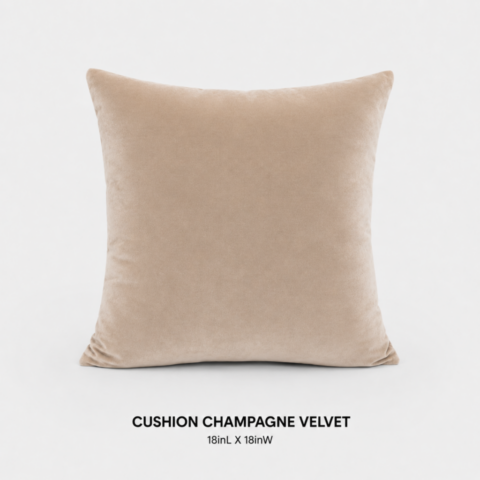LOUNGE_CUSHION_VELVET_CHAMPAGNE_RENTAL_EVENTS_CAYMAN ISLANDS_CELEBRATIONS