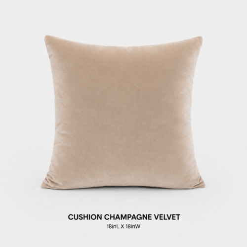 CUSHION CHAMPAGNE VELVET 18inL X 18inW