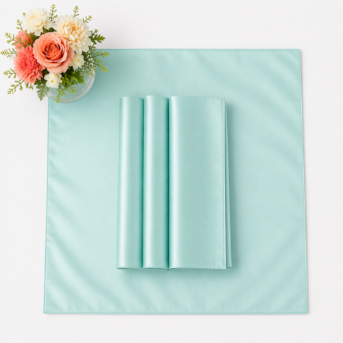 NAPKIN MINT LAMOUR 20IN X 20IN