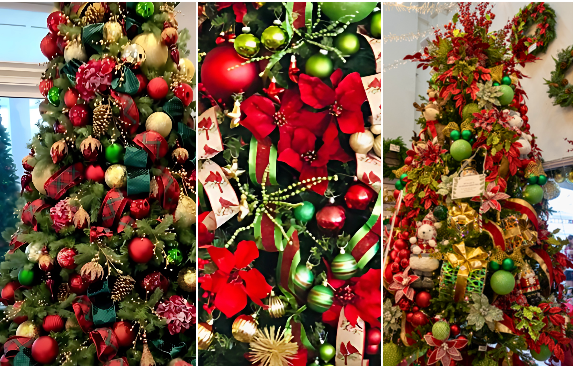 Red green gold traditional Christmas tree rental with classic holiday elegance